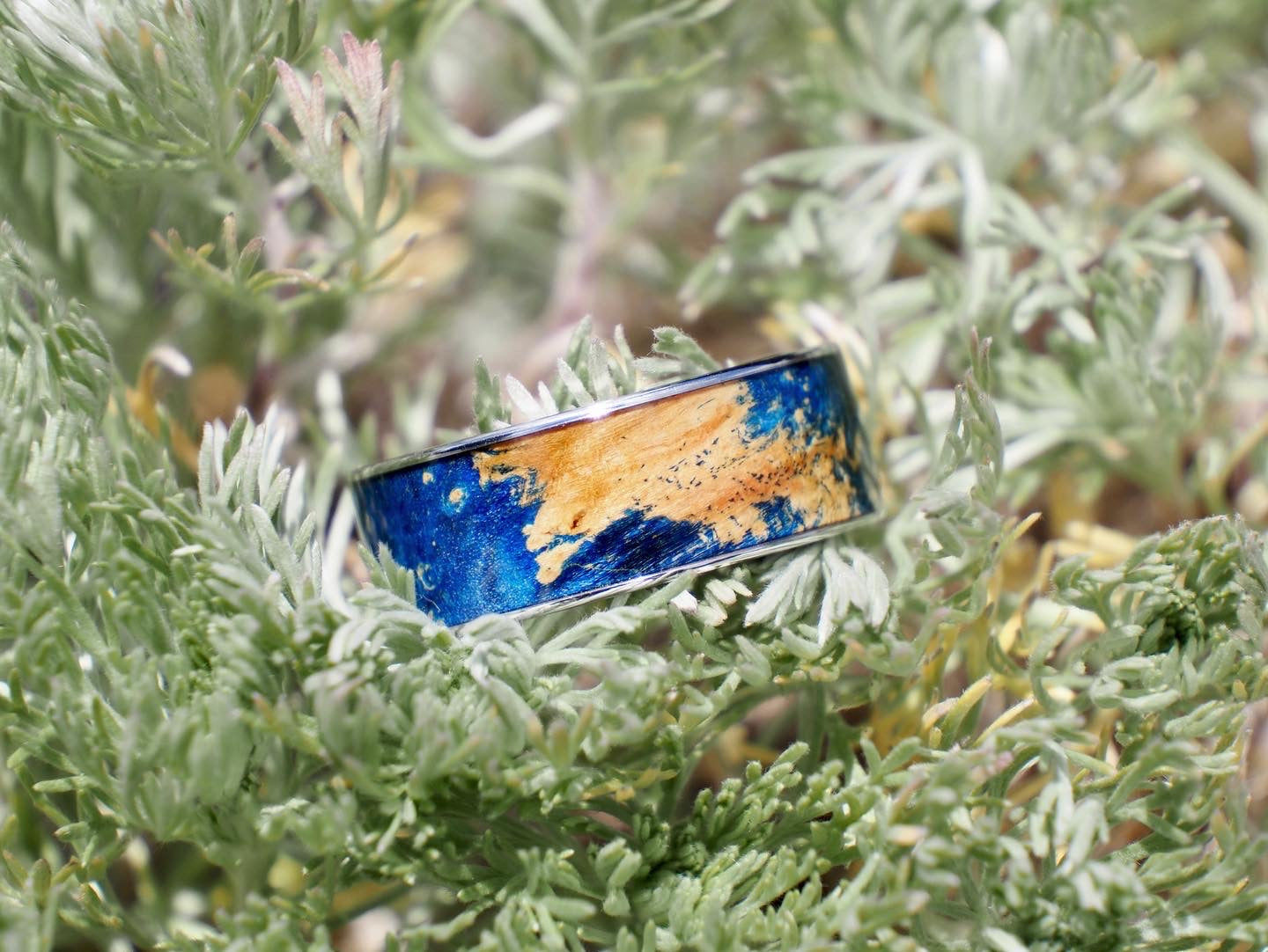 Starry Night Birdseye Maple