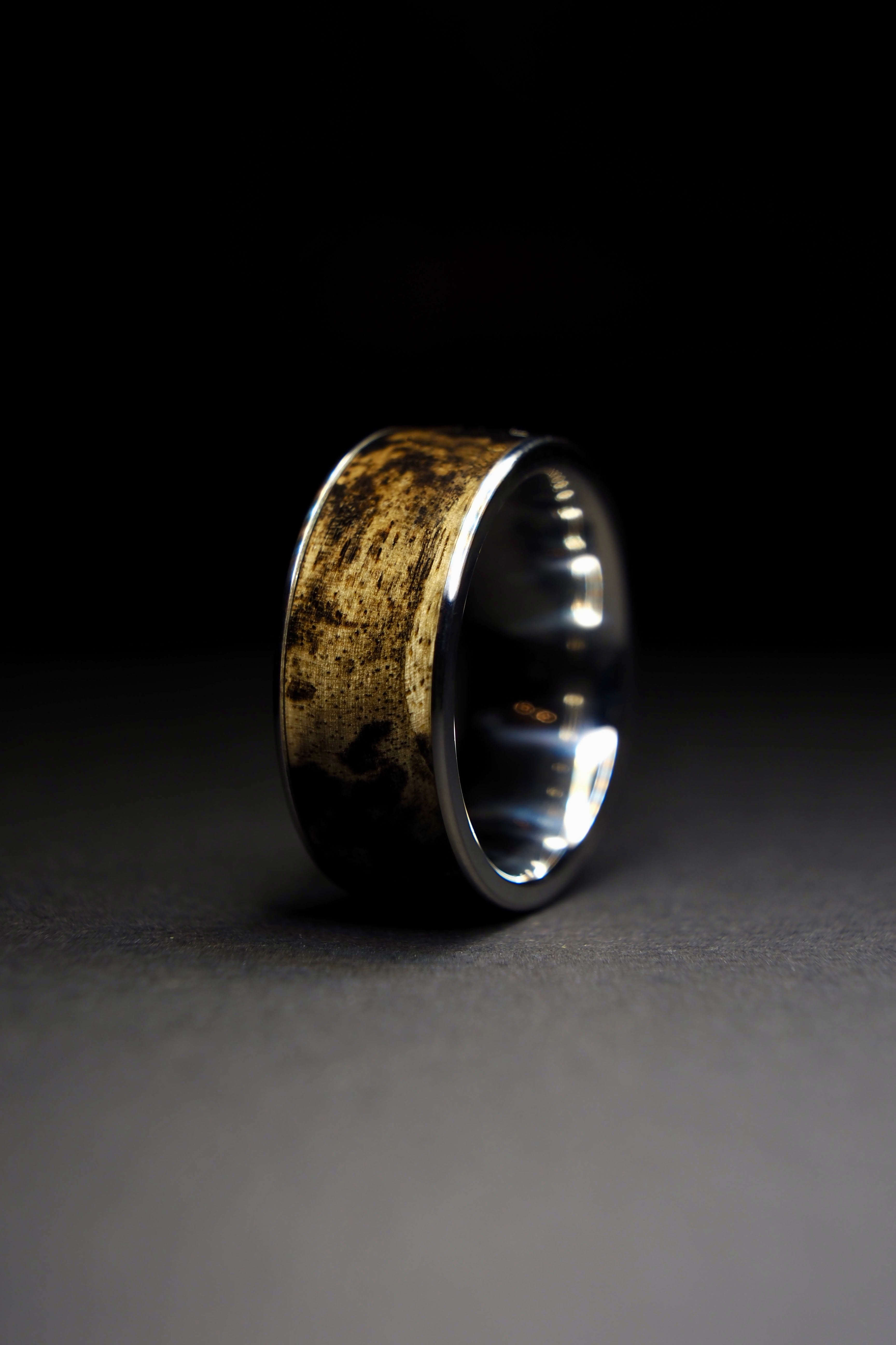 Dalmatian Ebony