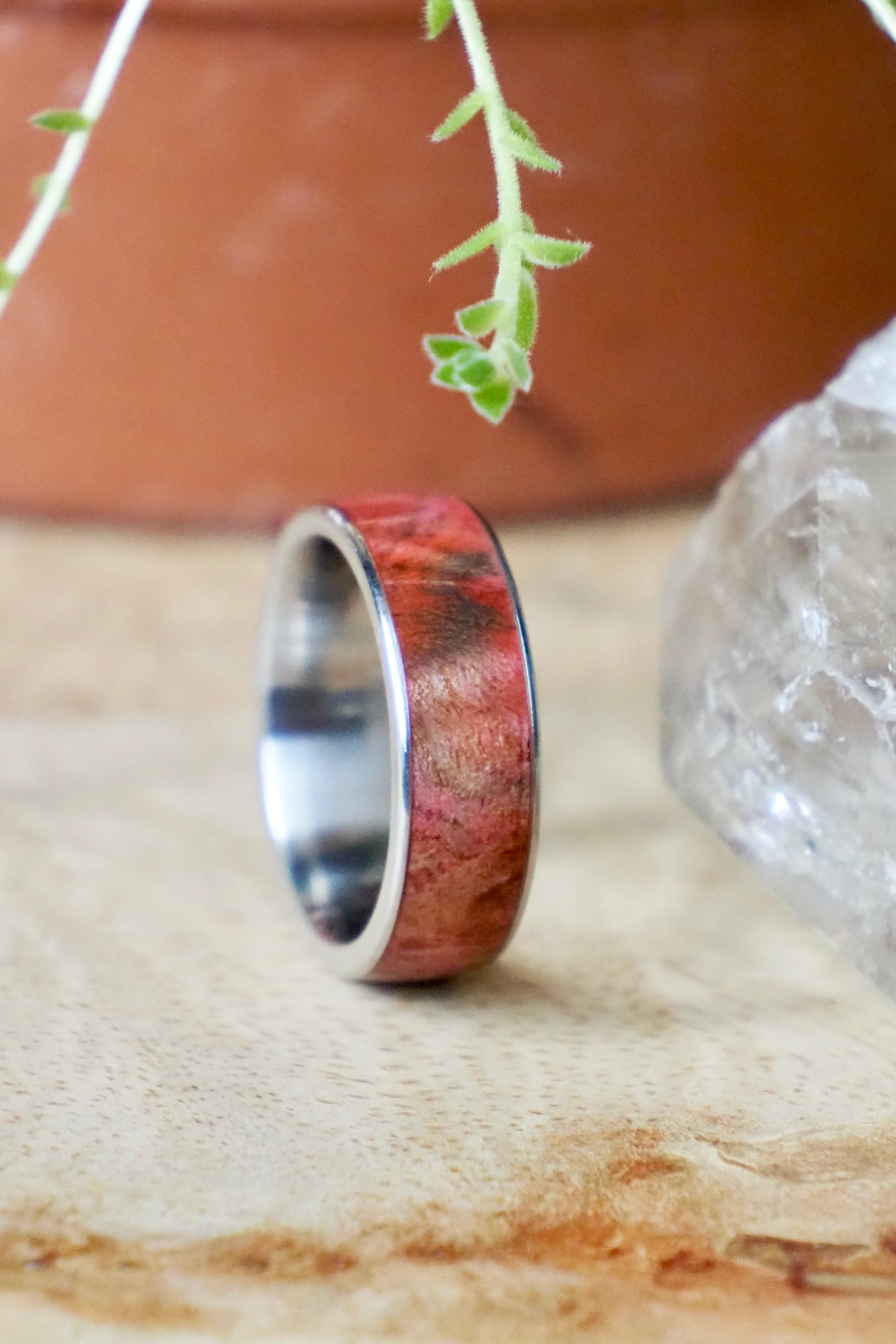 Birch + Steel