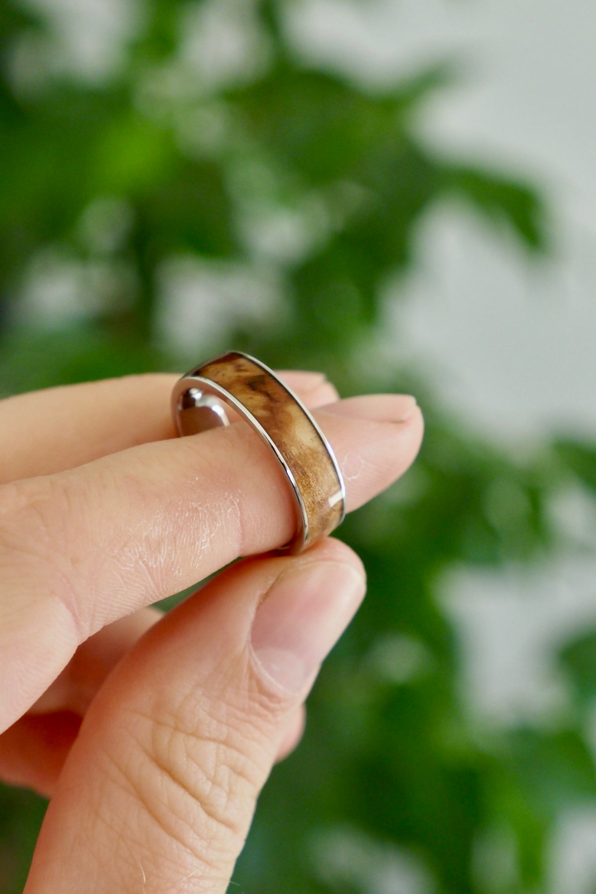 Maple + Steel